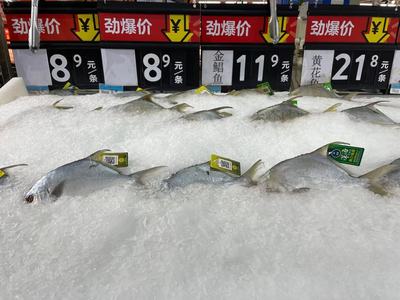 冷鏈產品還能買嗎？記者實探 有菜場停售進口海鮮，部分商超啟用水產品“身份證”