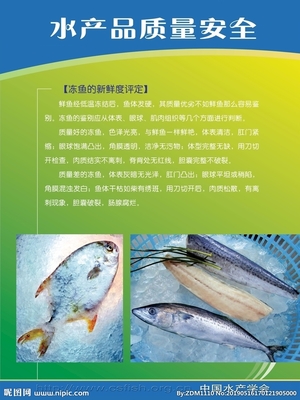 水產(chǎn)品設(shè)計(jì)圖 從海洋到餐桌的藝術(shù)與科學(xué)