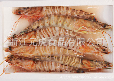 【優(yōu)質(zhì)冰凍水產(chǎn) 冰凍水產(chǎn)供應(yīng) 冰凍水產(chǎn)品【圖】】價(jià)格,廠家,圖片,鮮活/冷凍水產(chǎn),浙江元虎食品-